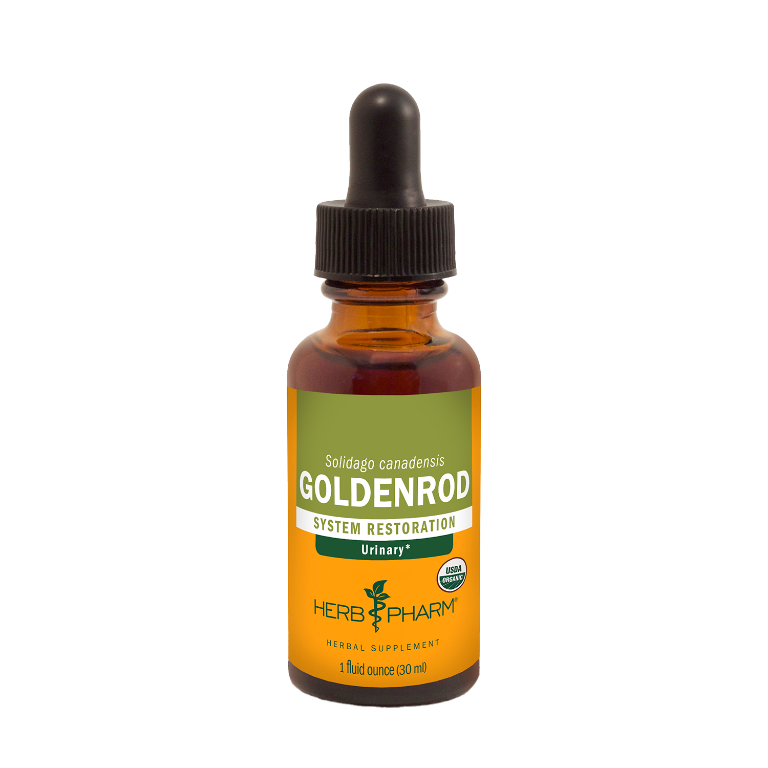 Goldenrod Extract