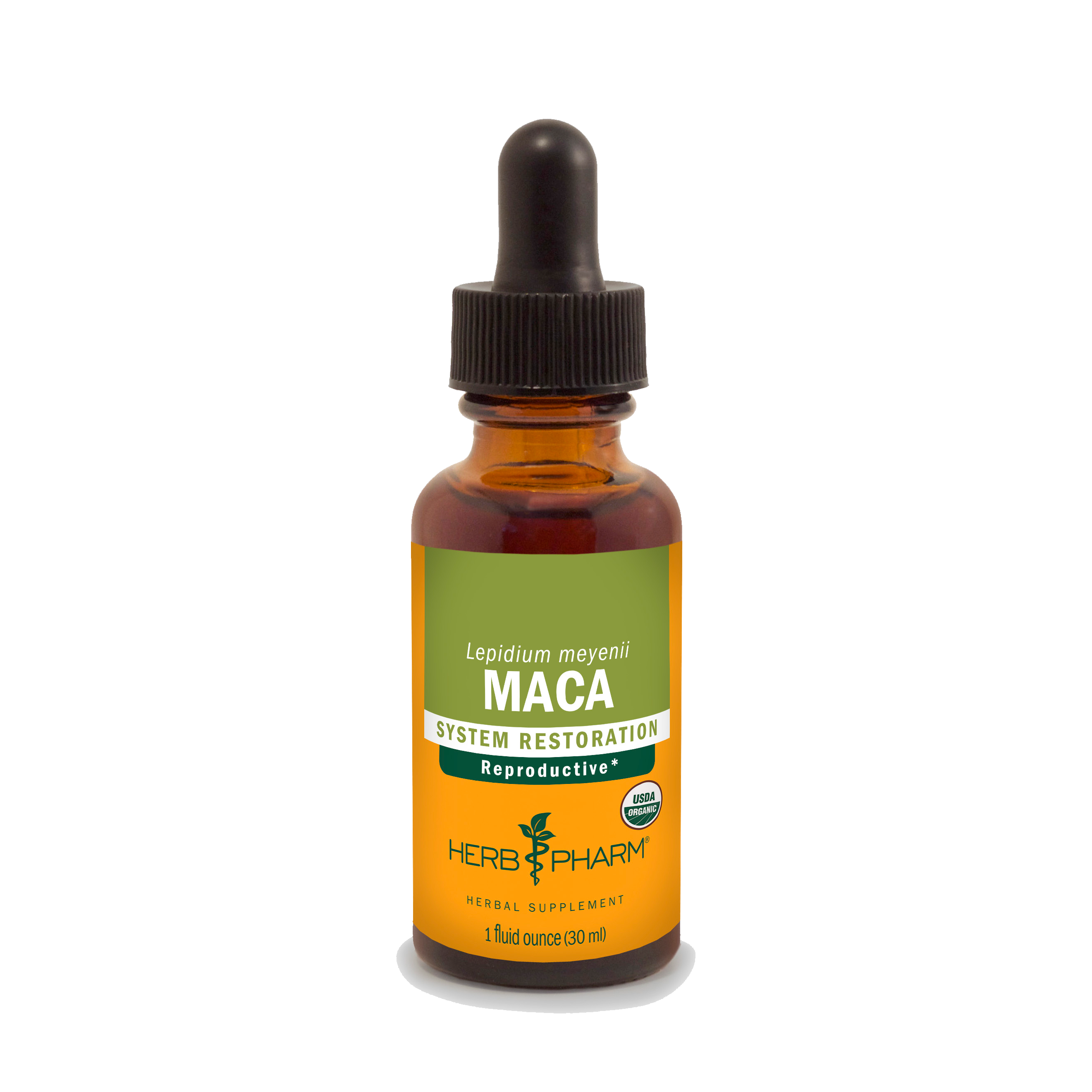 Maca Extract