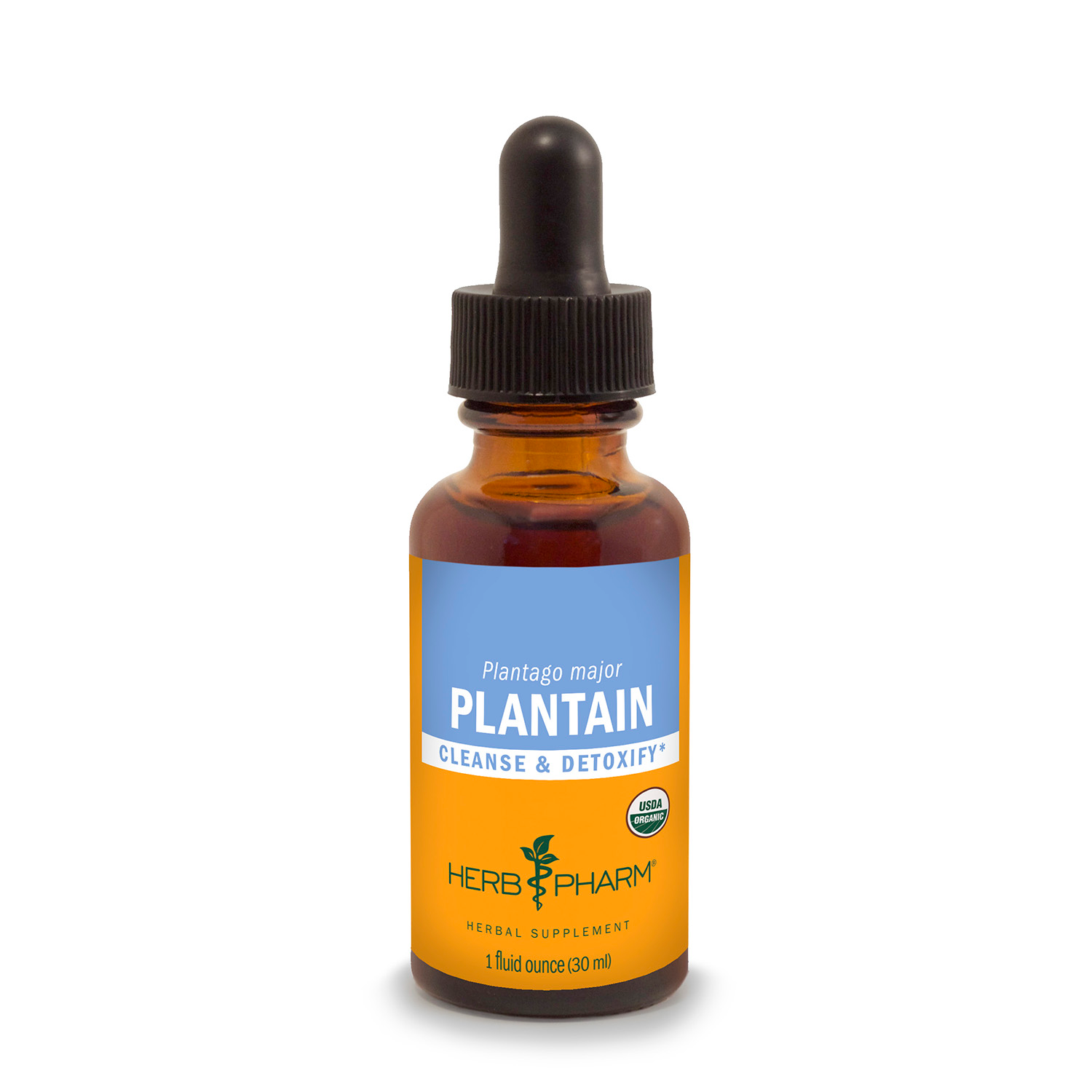 Plantain Extract