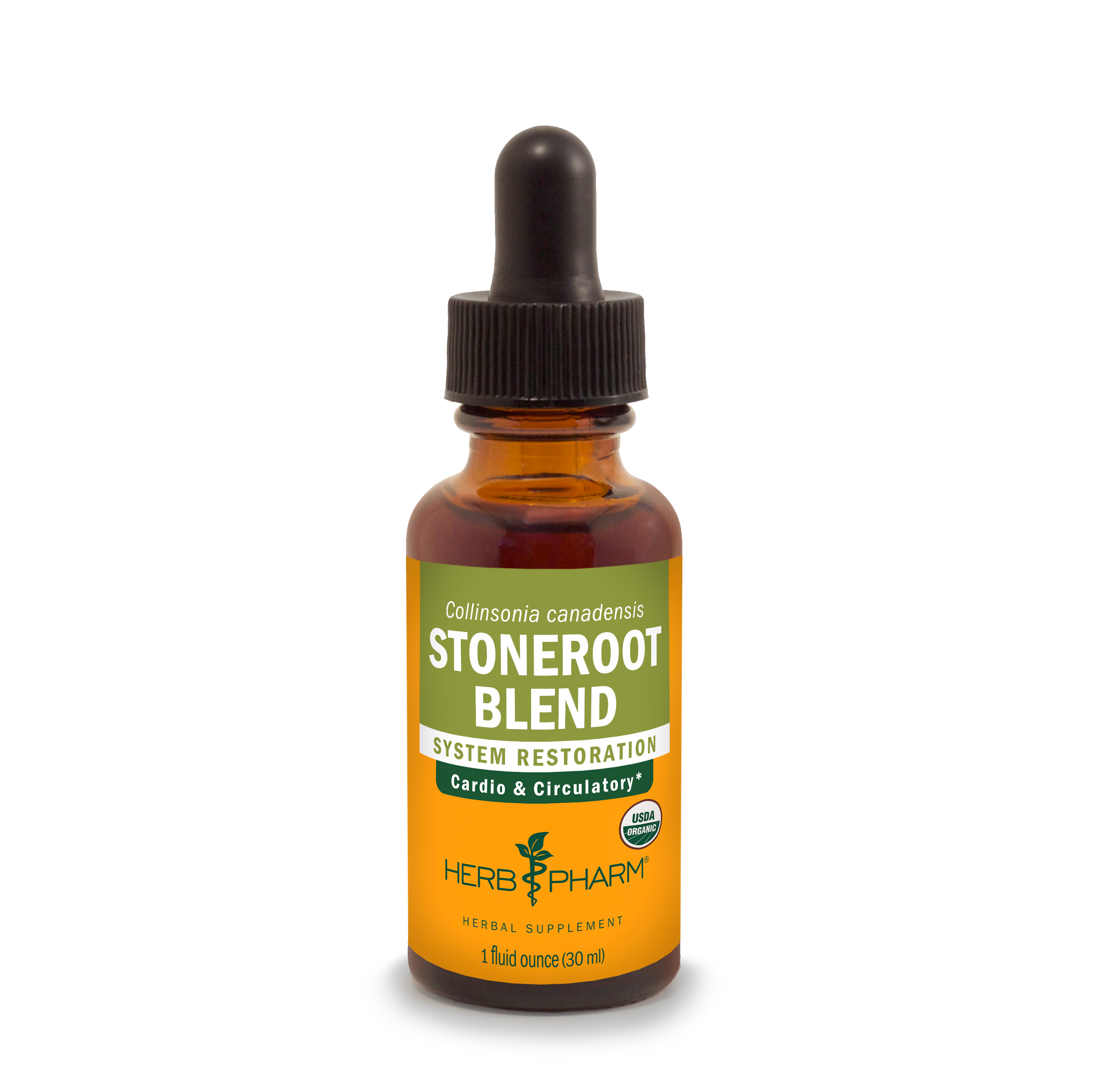 Stone Root Extract