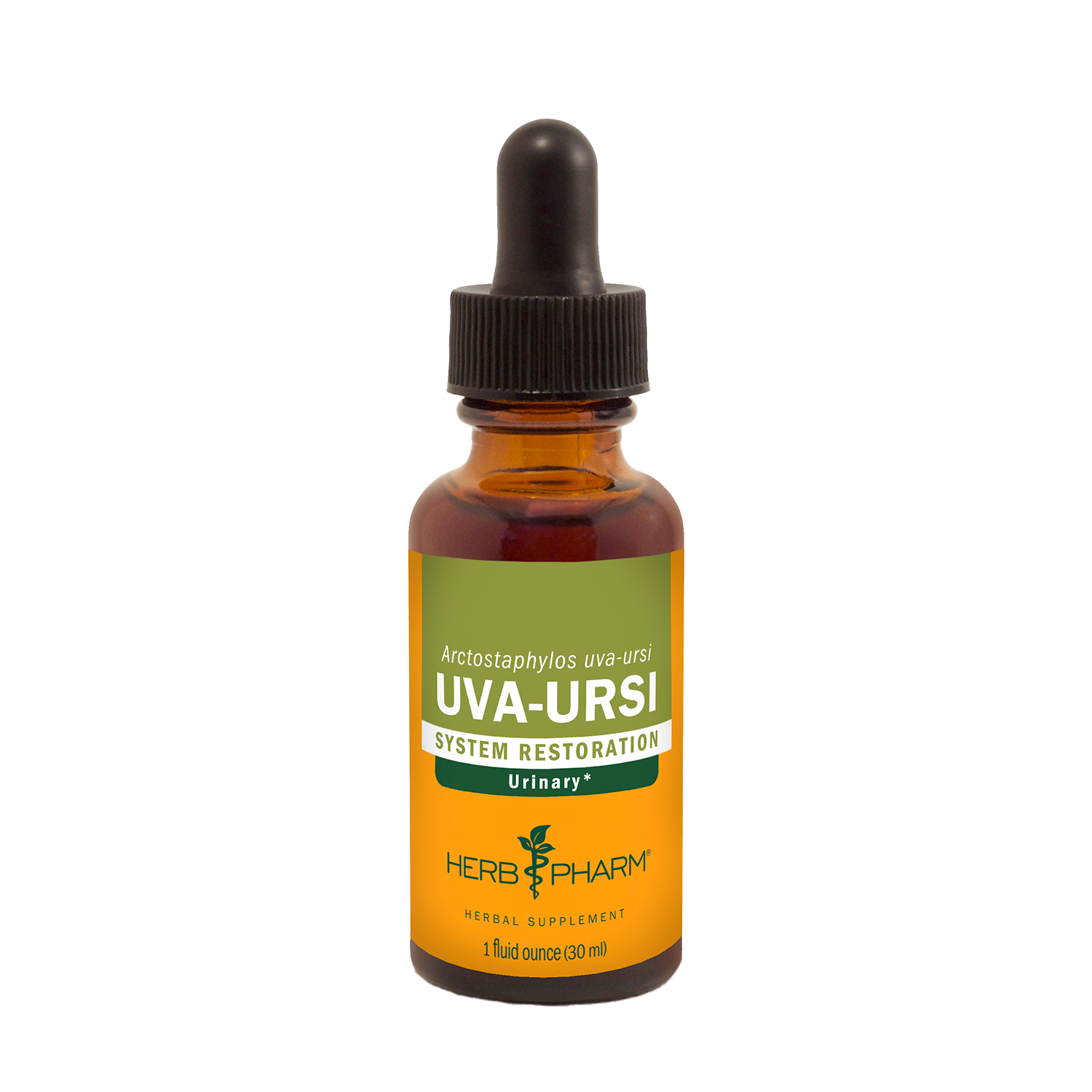 Uva Ursi Extract