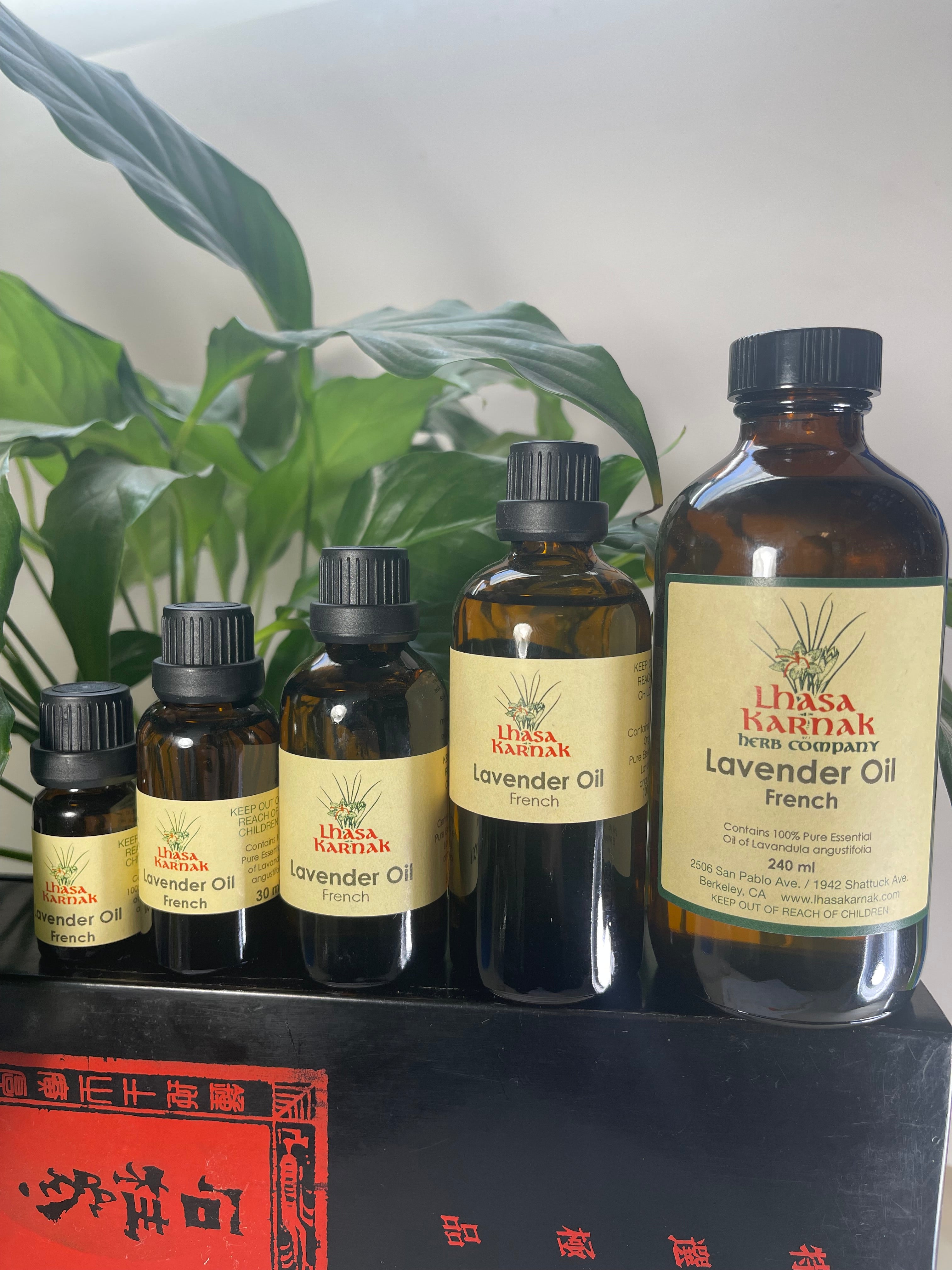 lavender oil for plants French Lavender Essential Oil