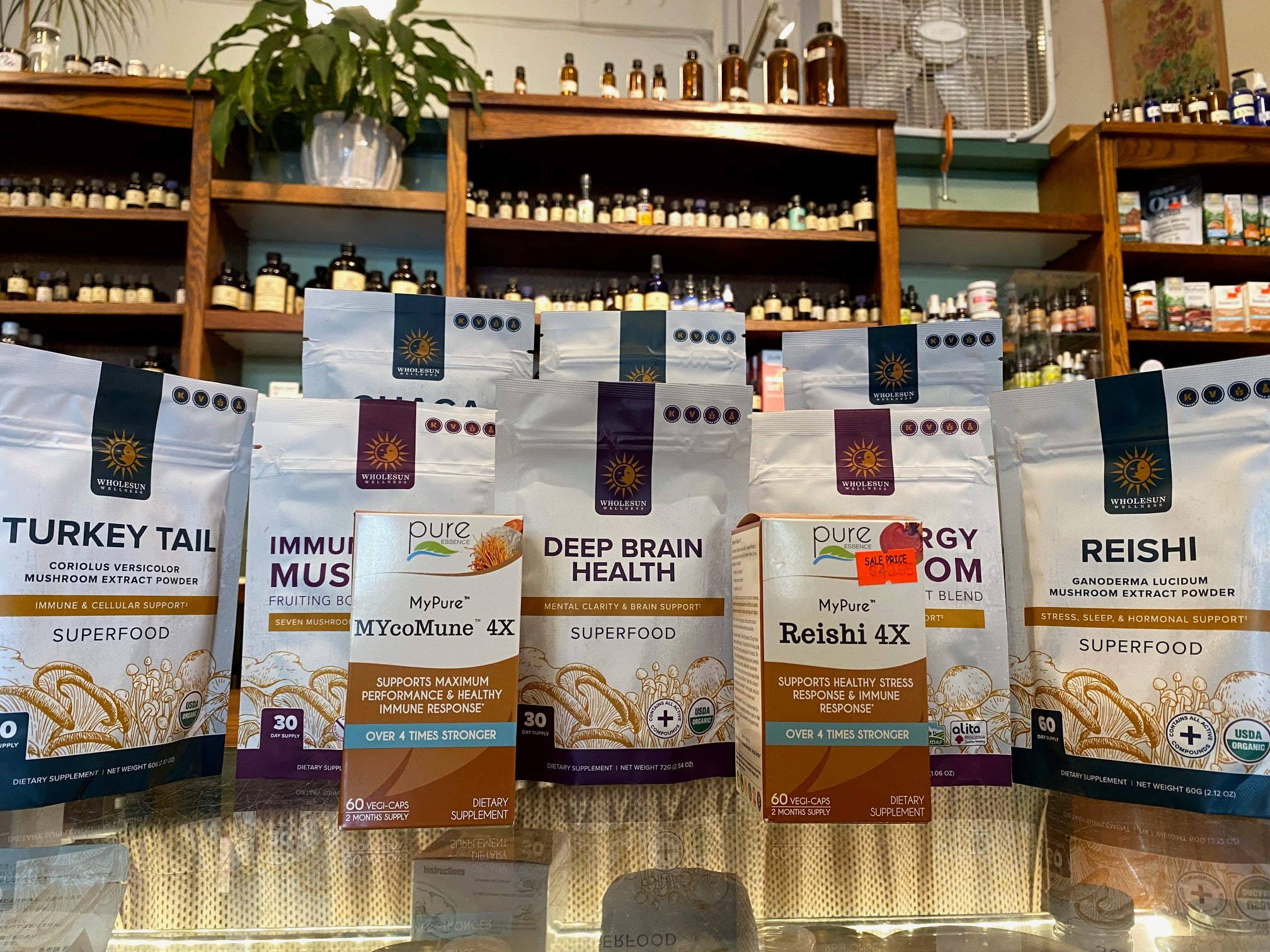 Medicinal Mushrooms