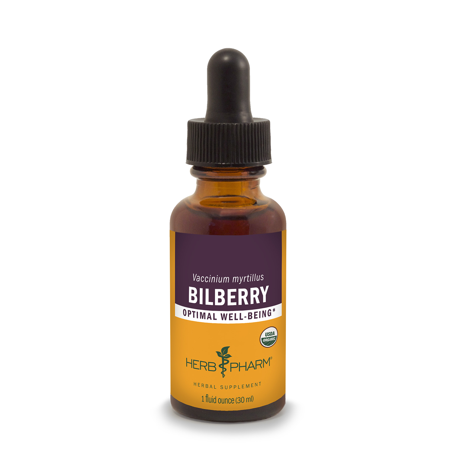 Bilberry Fruit Extract
