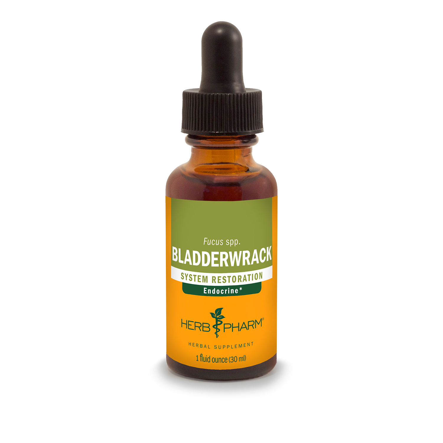 Bladderwrack Extract