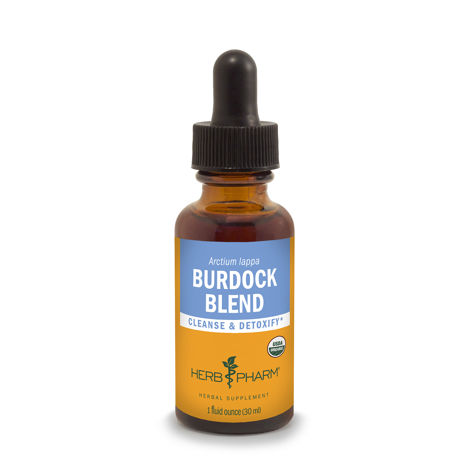 Burdock Root and Seed