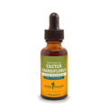 Cactus grandiflorus Extract