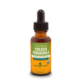 Coleus forskohlii Extract