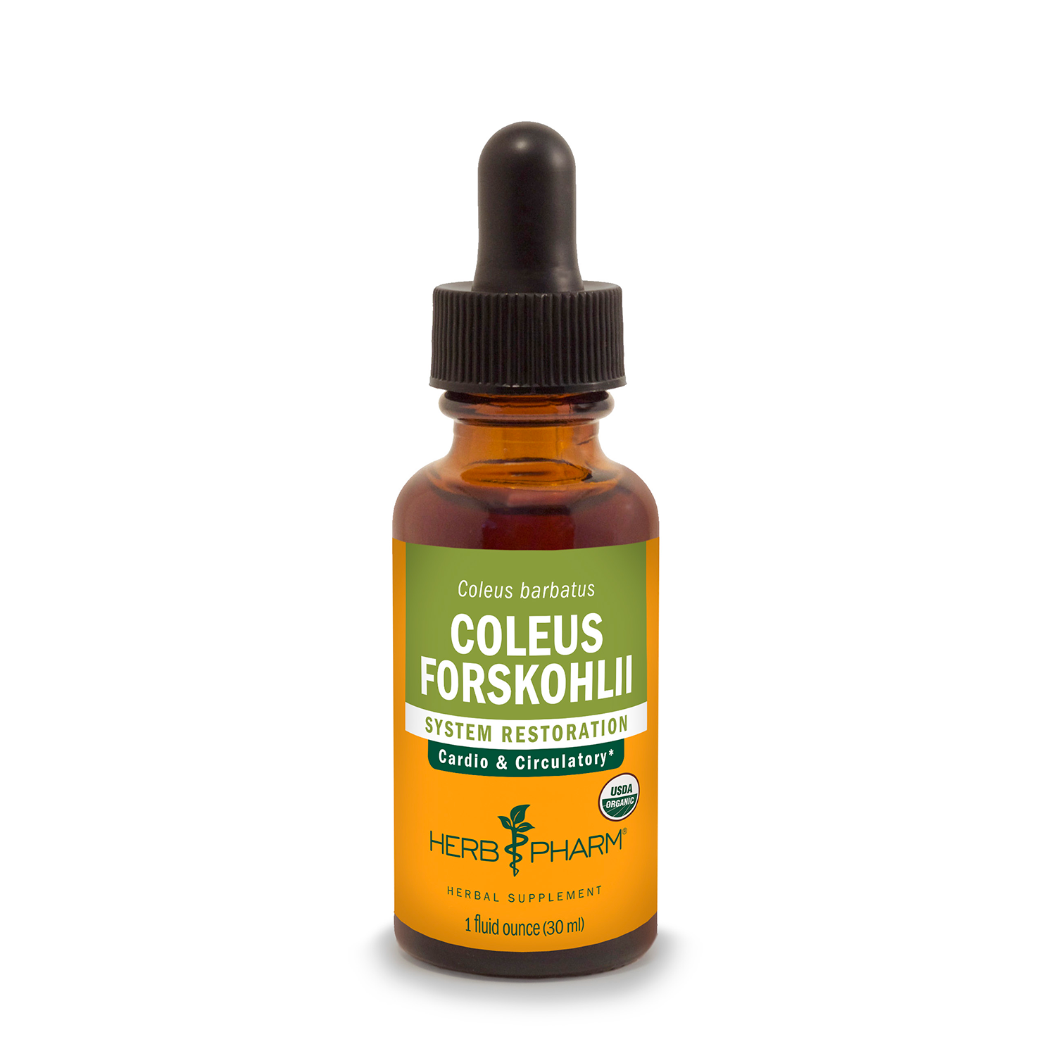 Coleus forskohlii Extract