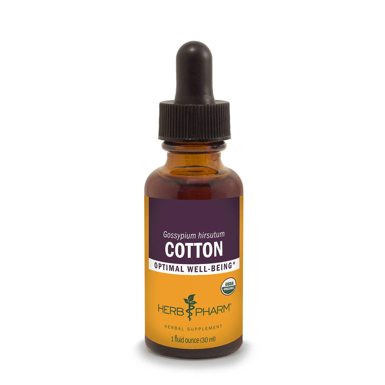 Cotton Root Extract