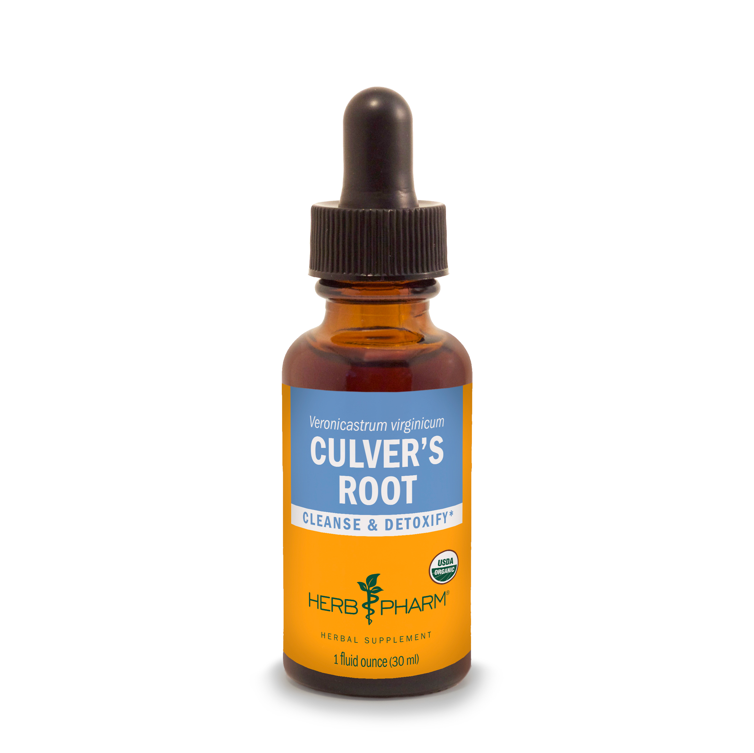 Culver's Root Extract