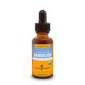 Dandelion Root and Leaf