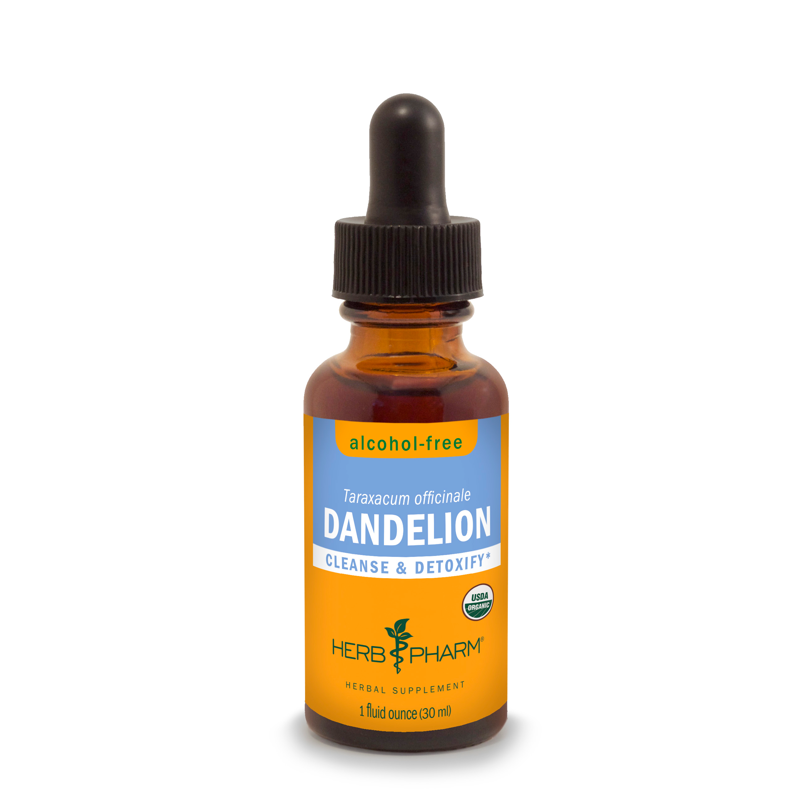 Dandelion Root and Leaf
