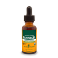 Echinacea Extract