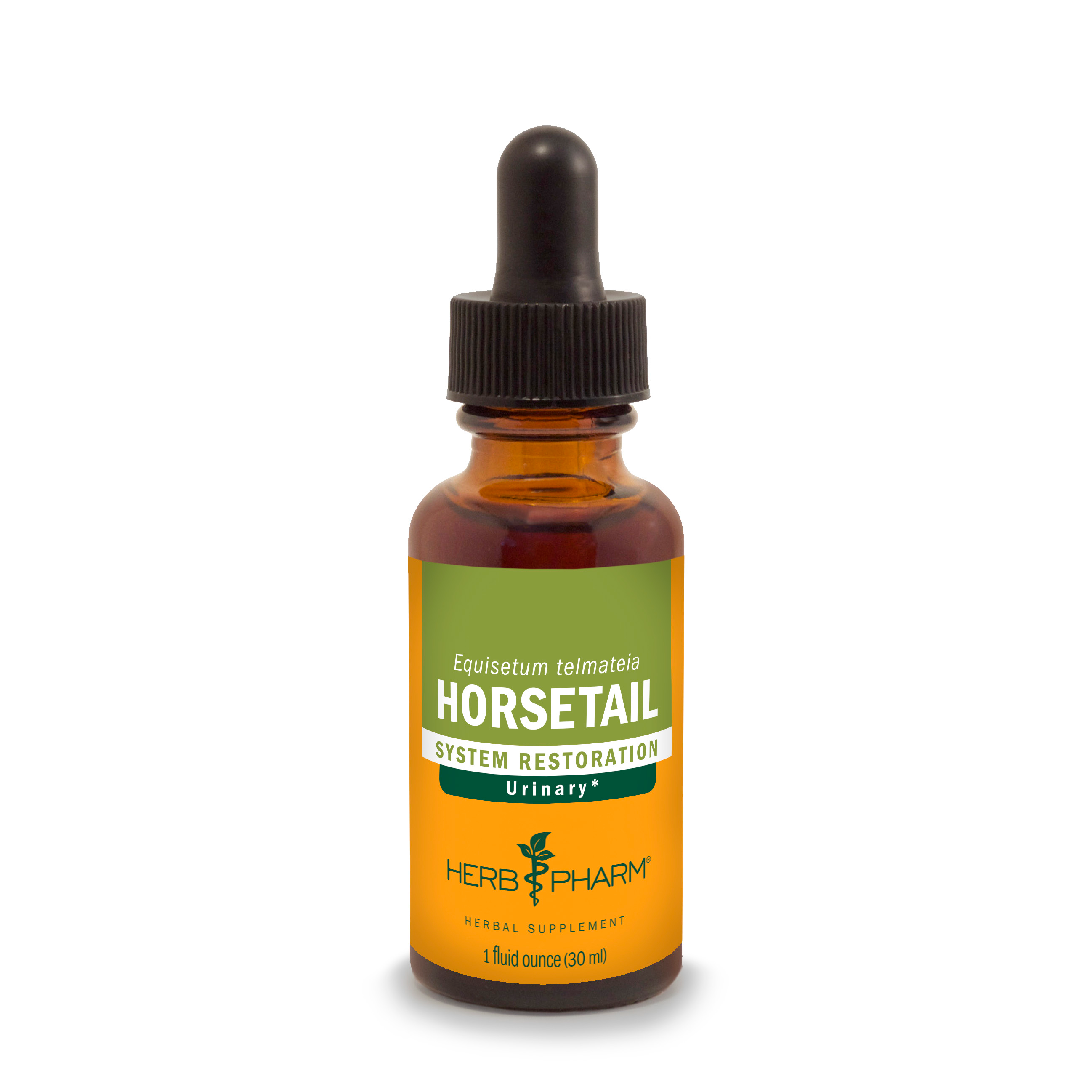 Horsetail Extract