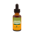 Hydrangea Extract
