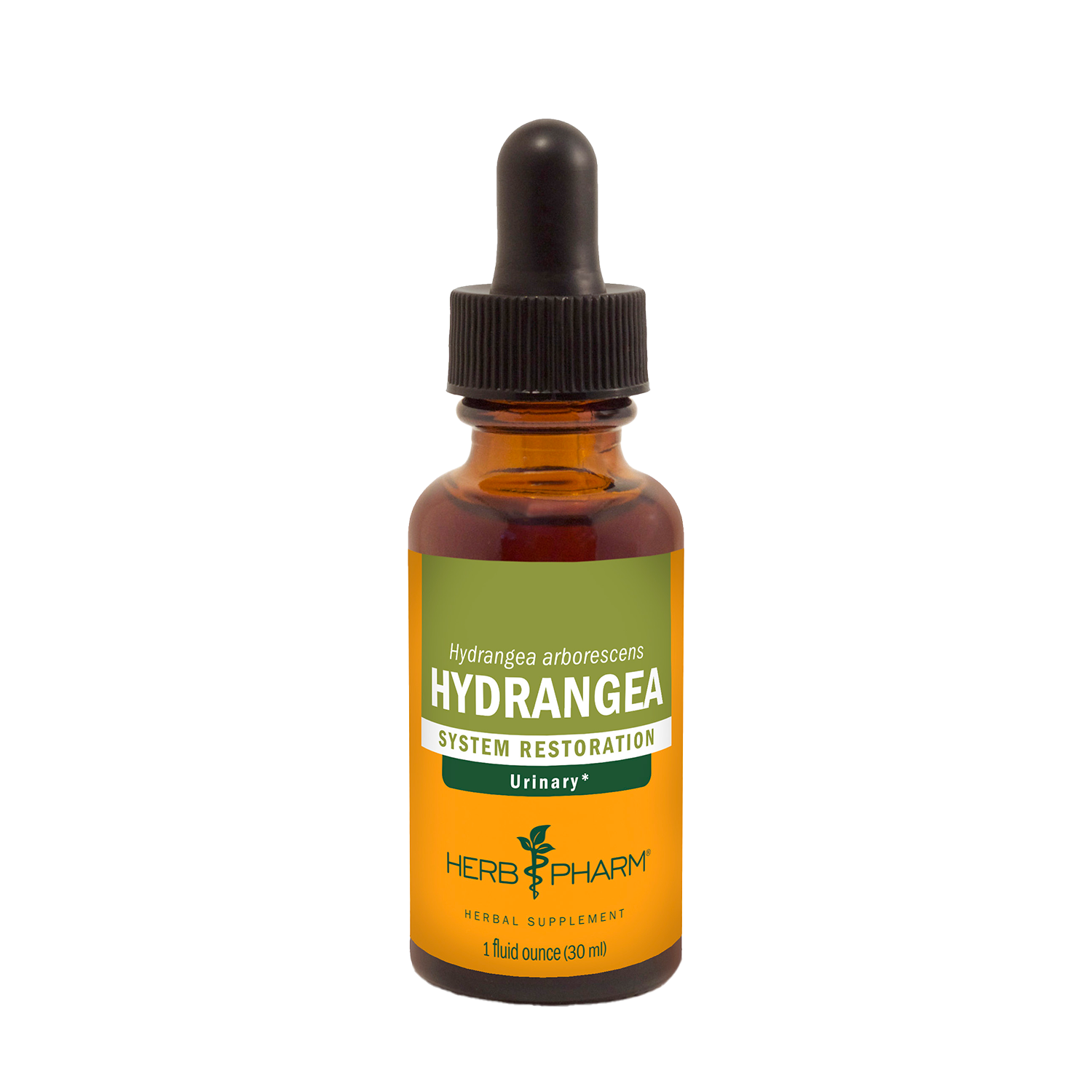 Hydrangea Extract