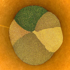 Italian Seasoning Cut