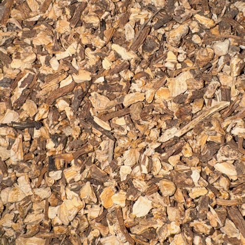 Angelica Root Cut