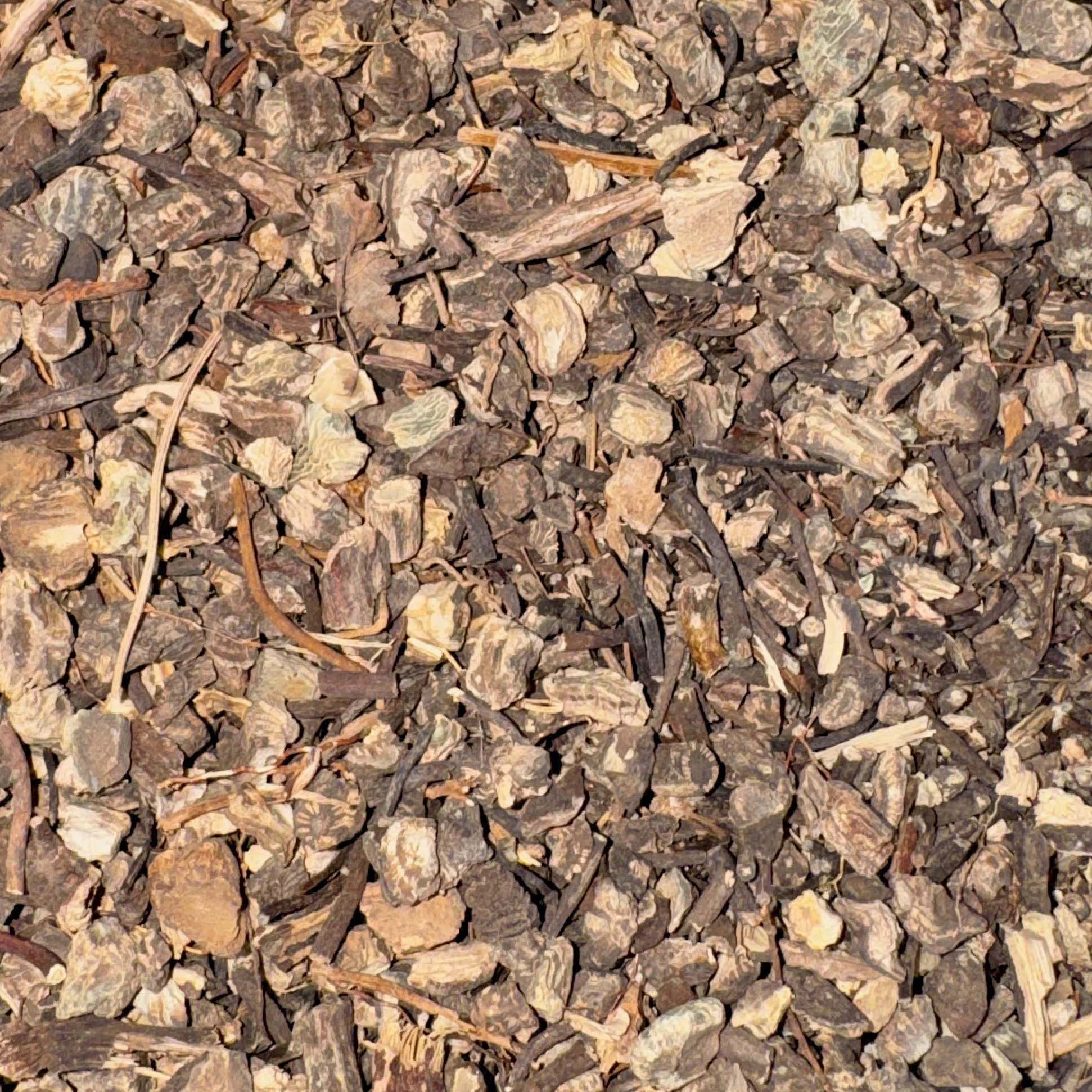 Black Cohosh Root Cut