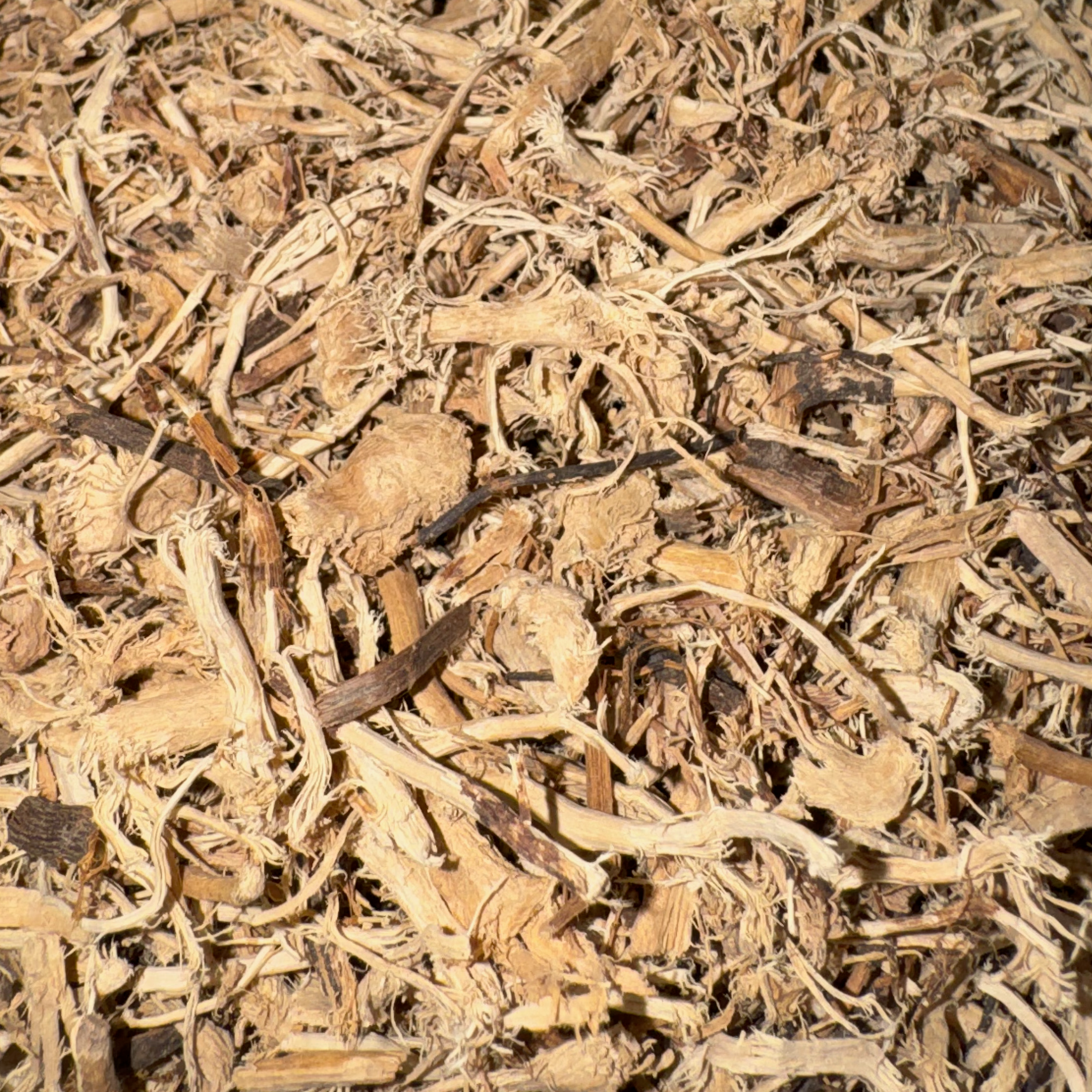 Blackberry Root Cut