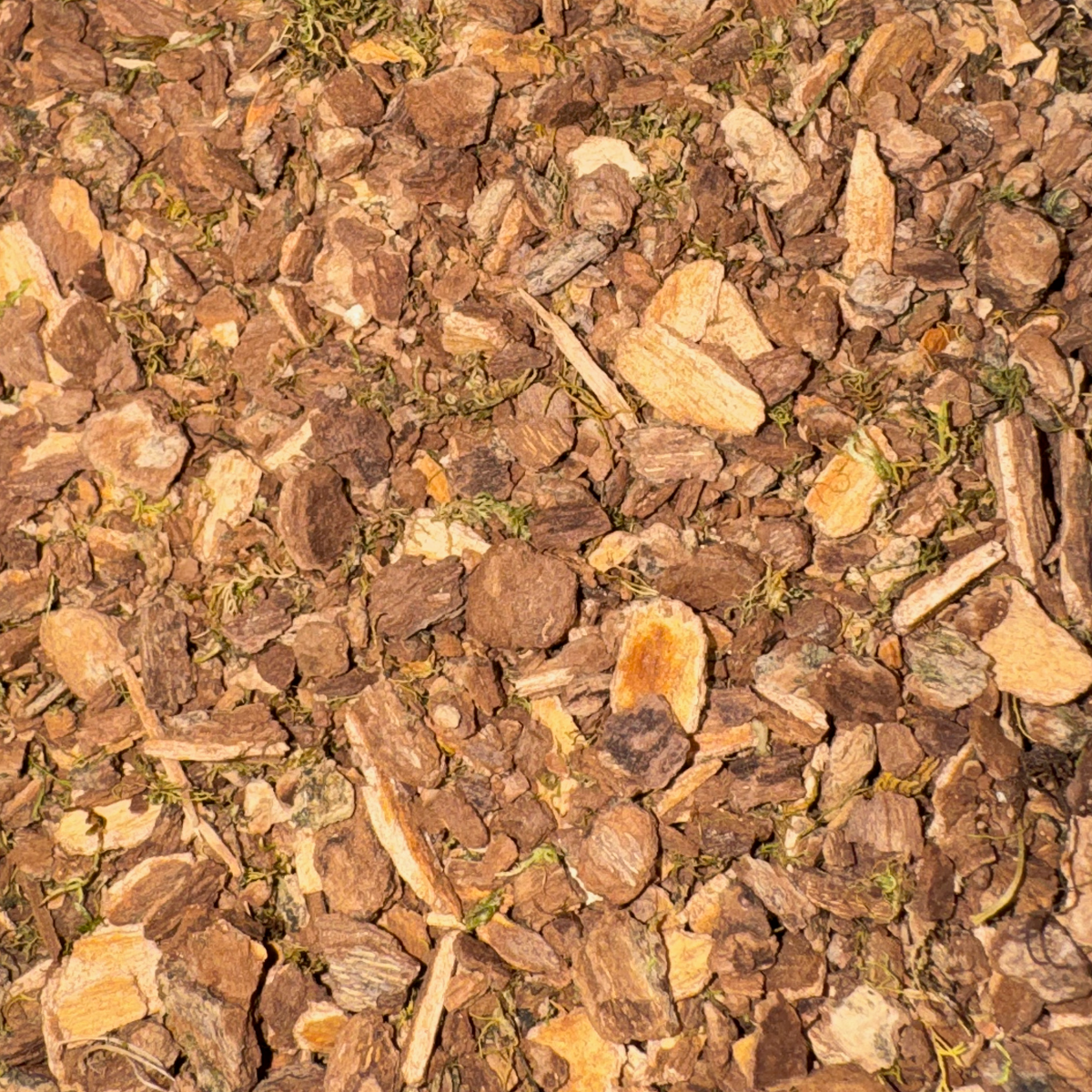 Black Haw Root Bark Cut