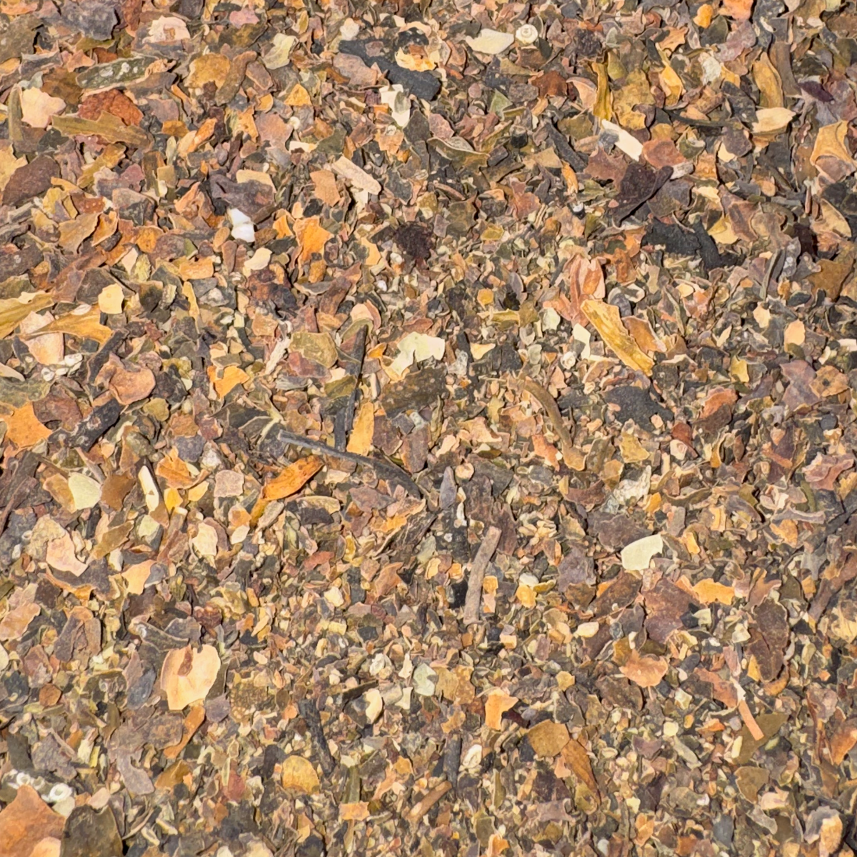 Bladderwrack Chopped
