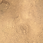 Bladderwrack Powder