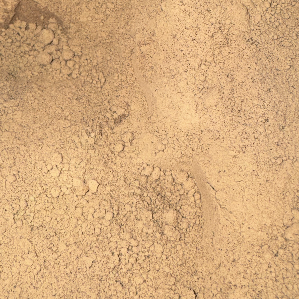 Bladderwrack Powder