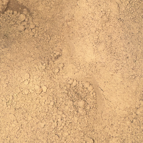 Bladderwrack Powder