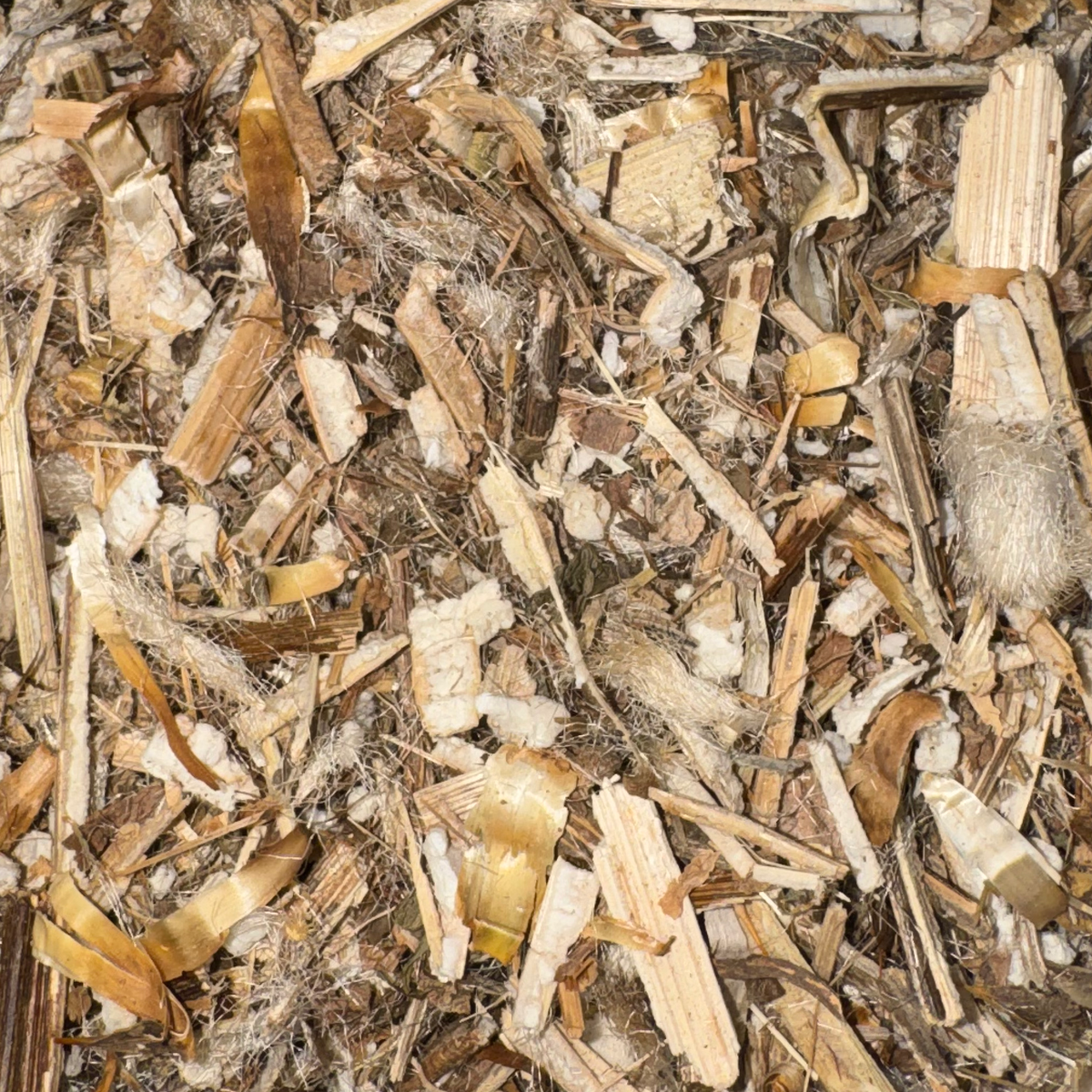 Blessed Thistle Herb Cut