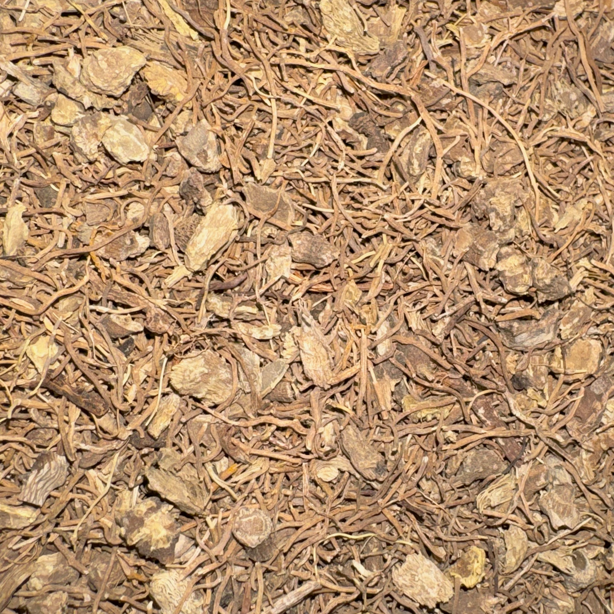 Blue Cohosh Root Cut
