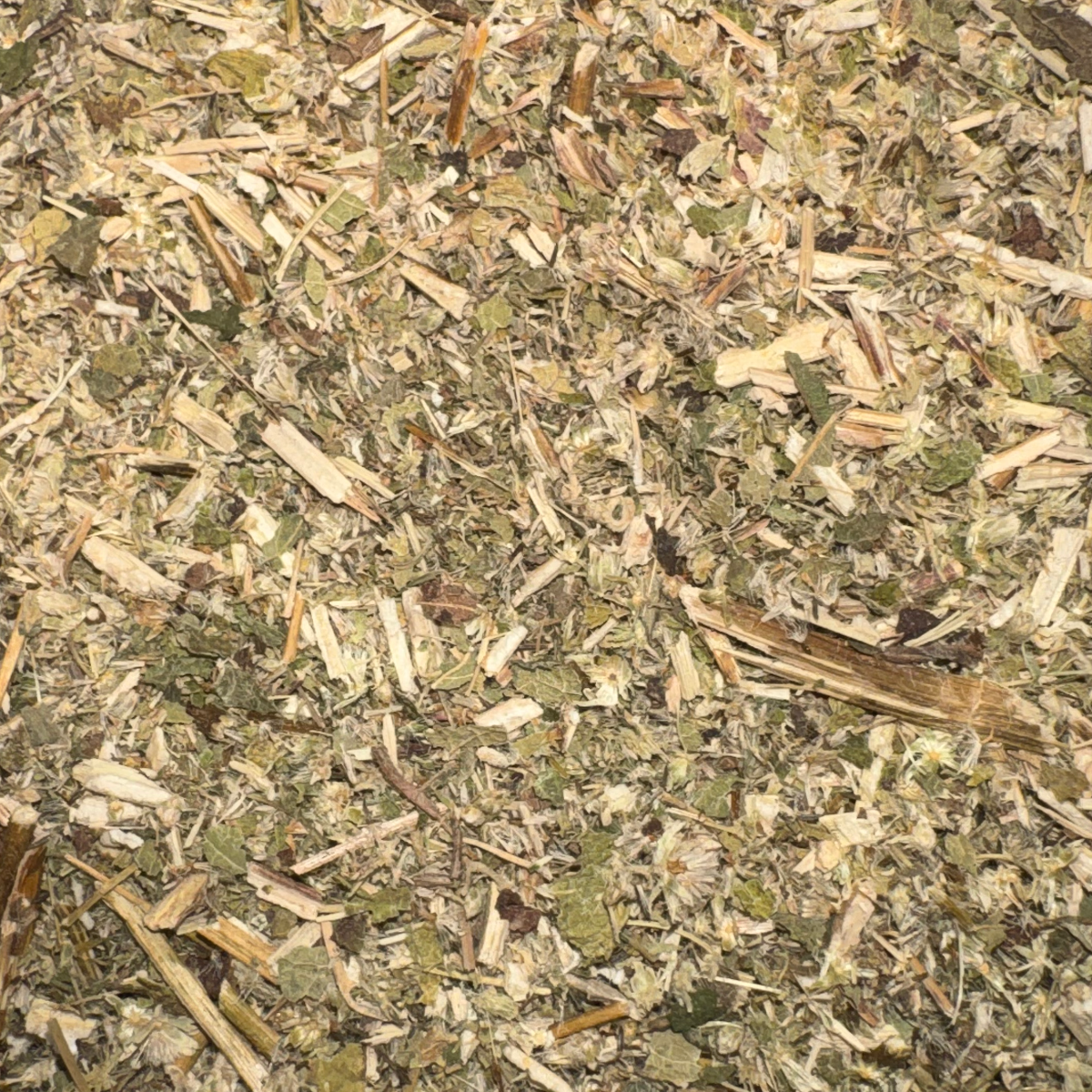 Boneset Herb Cut