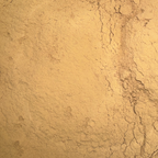 Brahmi Powder