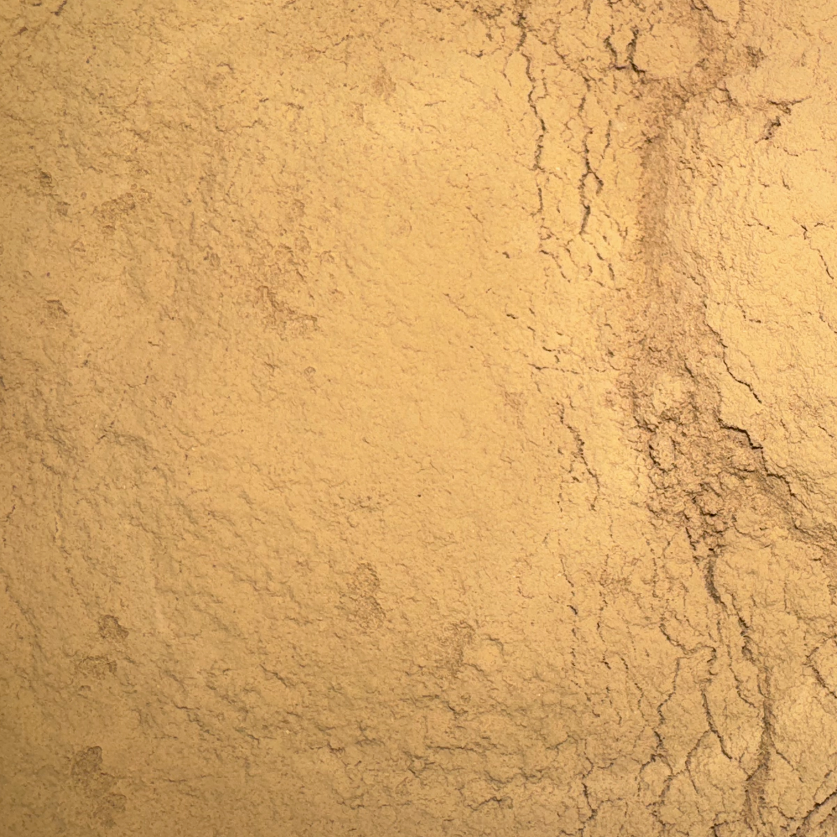 Brahmi Powder