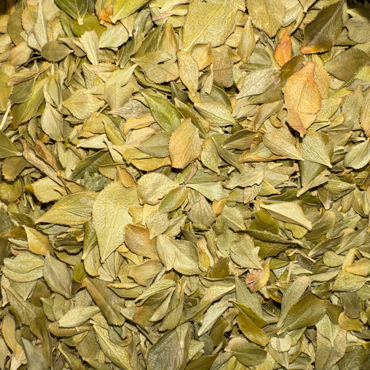 Buchu Leaf Whole
