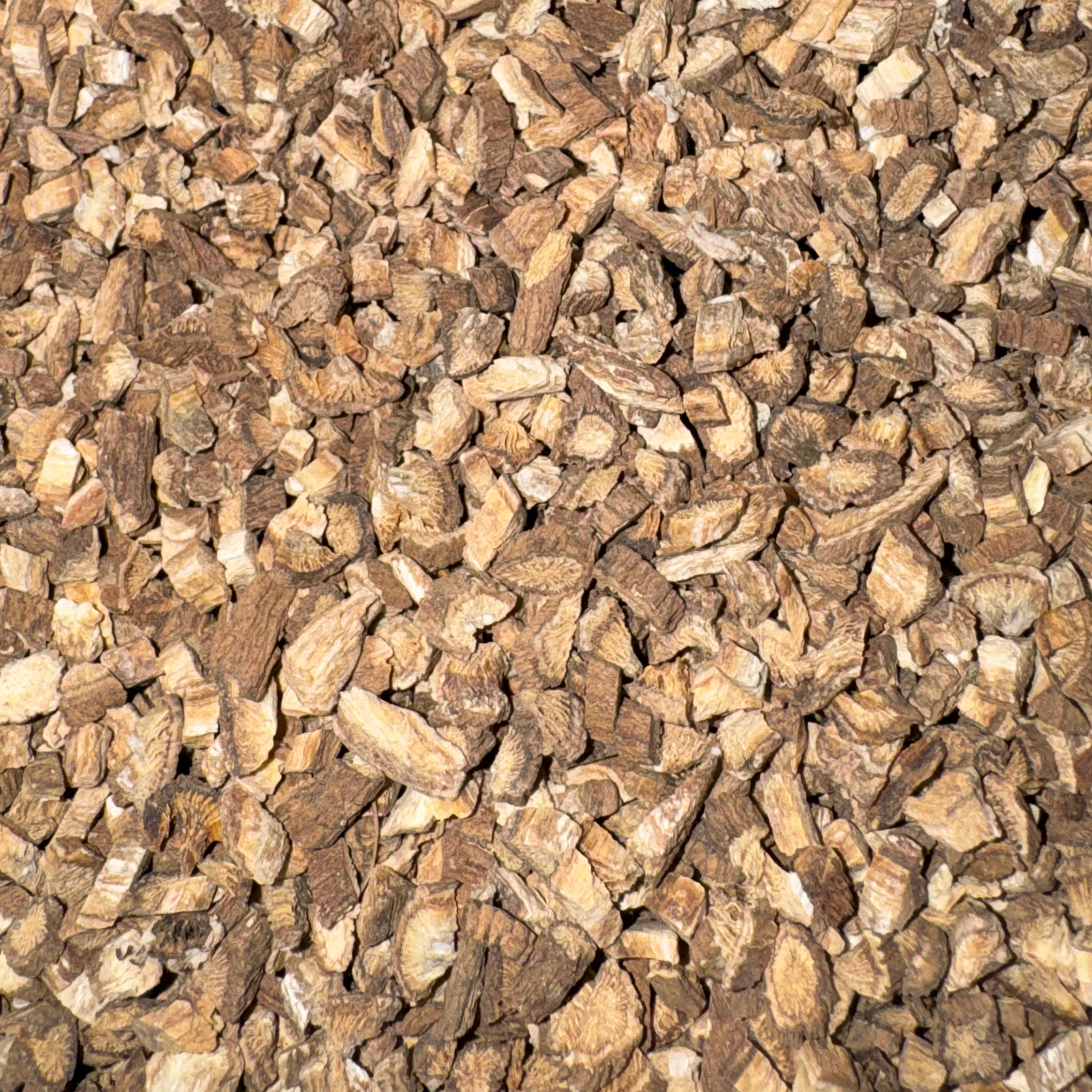 Burdock Root Cut