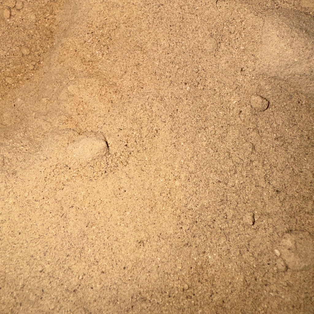 Burdock Root Powder