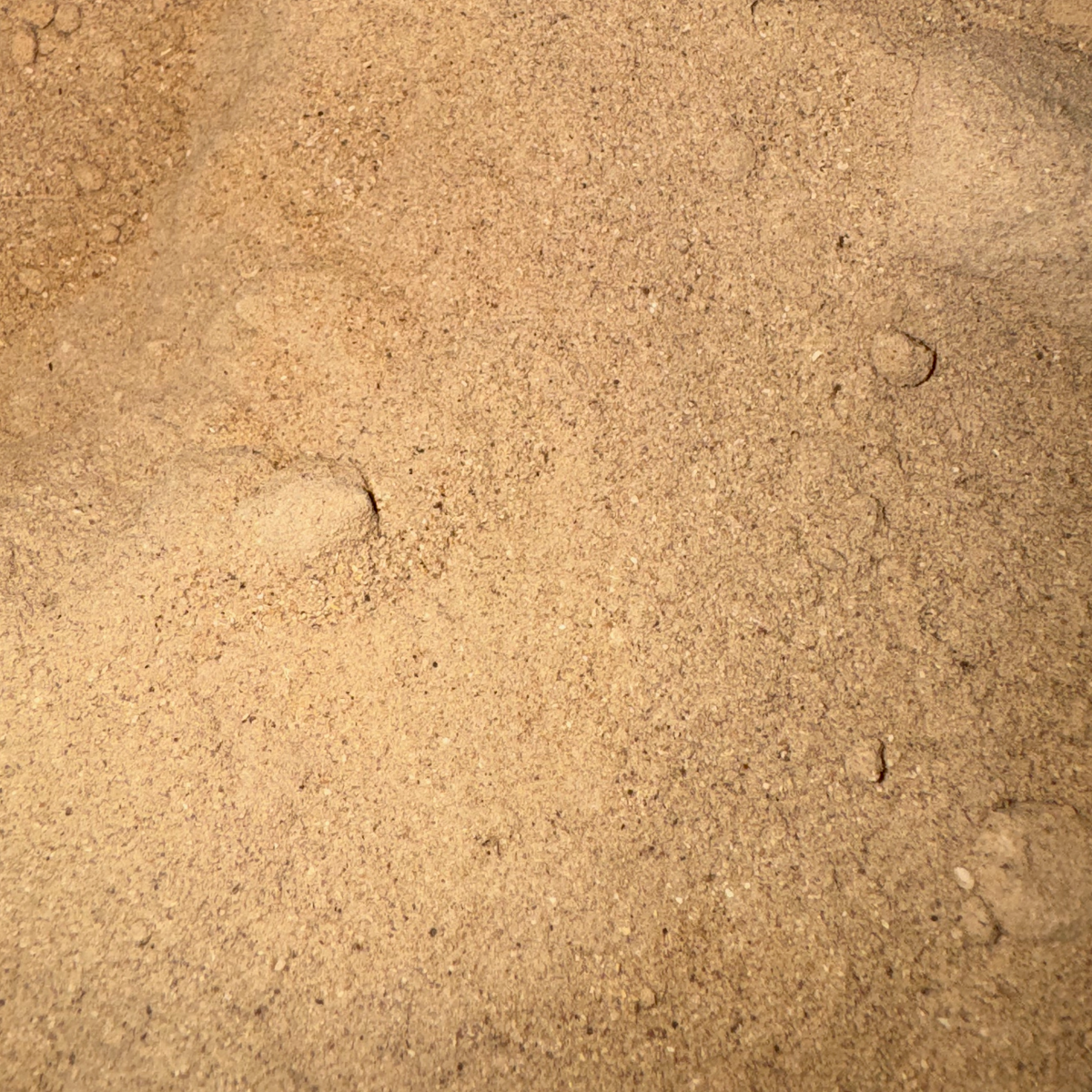 Burdock Root Powder