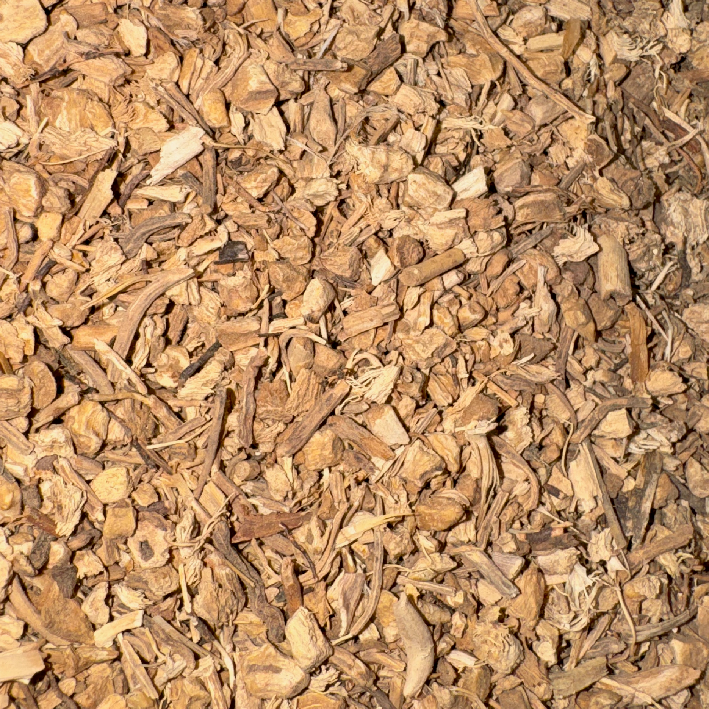 Butcher's Broom Root Cut