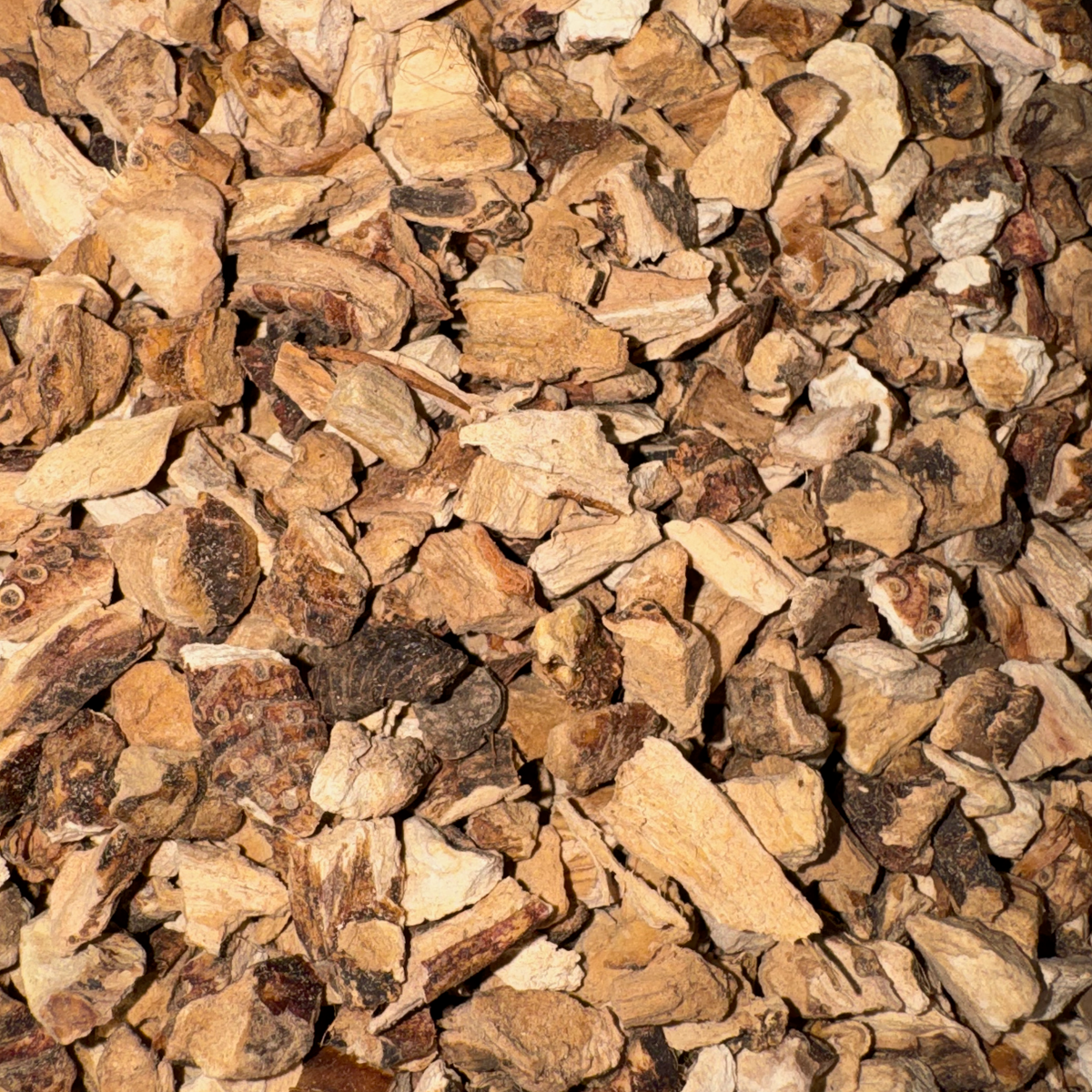 Calamus Root Cut