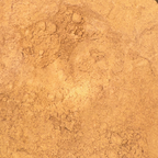 Calamus Root Powder