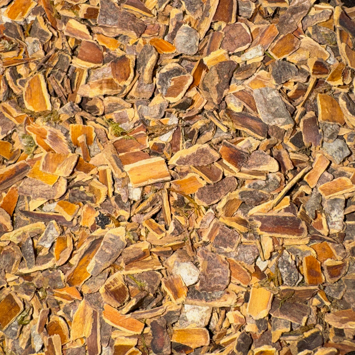 Cascara Sagrada Cut