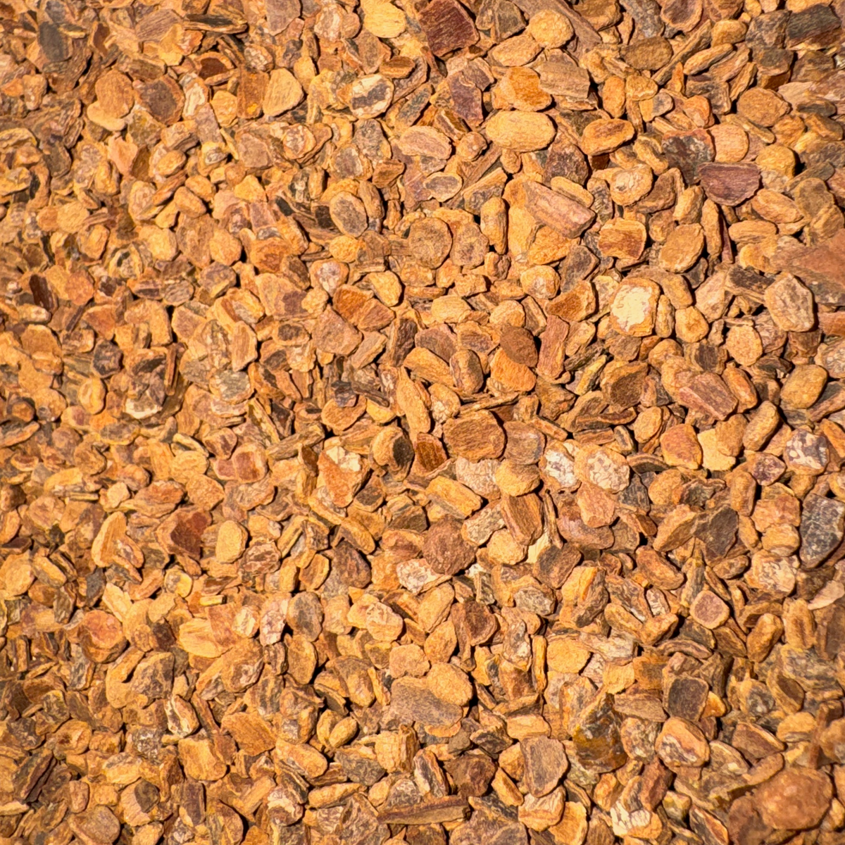 Cassia Bark Chips
