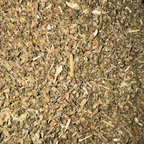 Catnip Leaf Cut