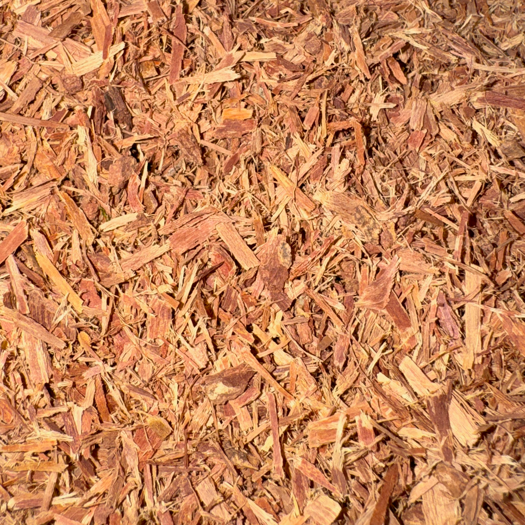 Cat's Claw Cut