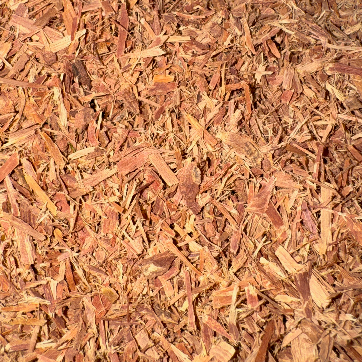 Cat's Claw Cut