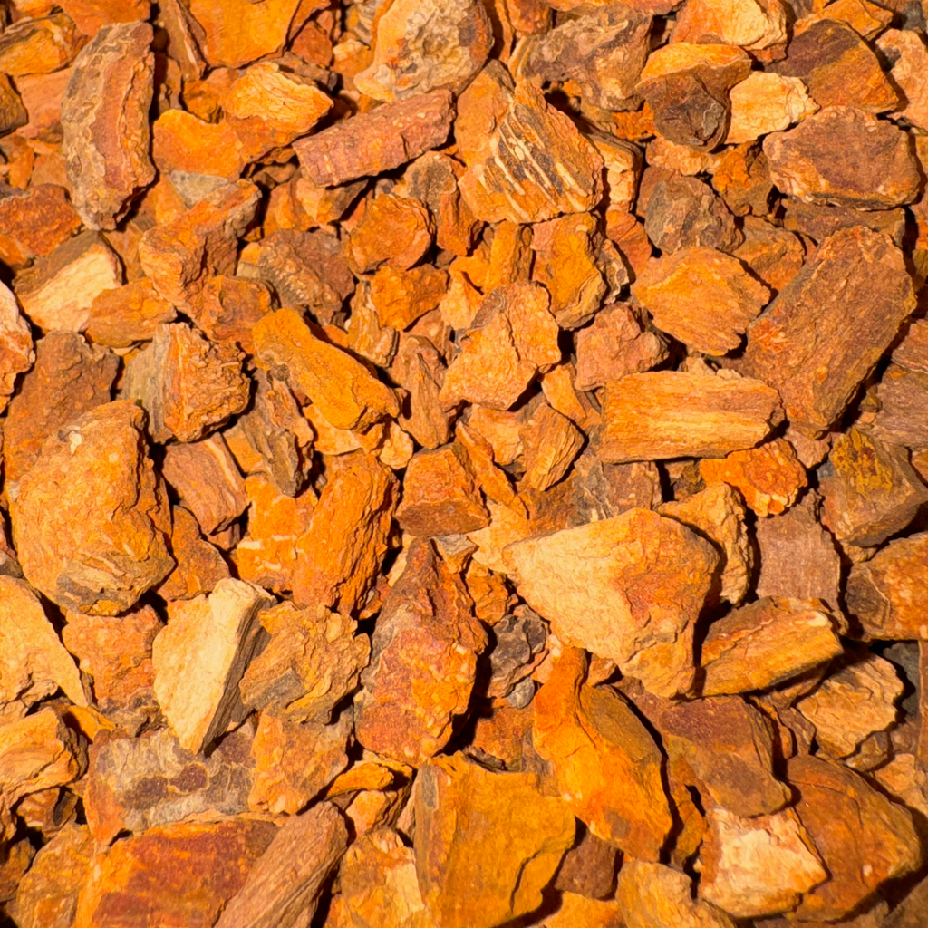 Cinchona Bark Cut