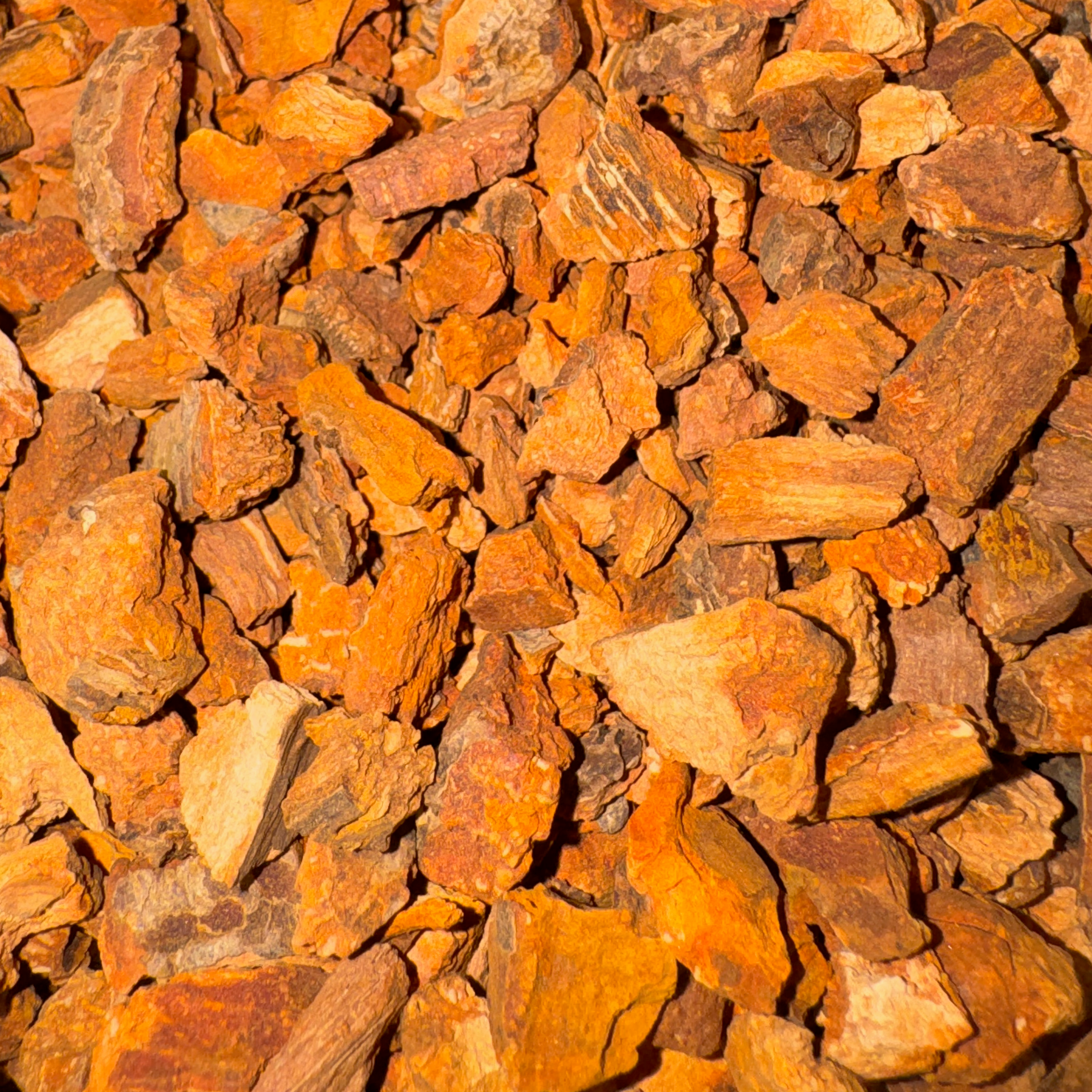 Cinchona Bark Cut
