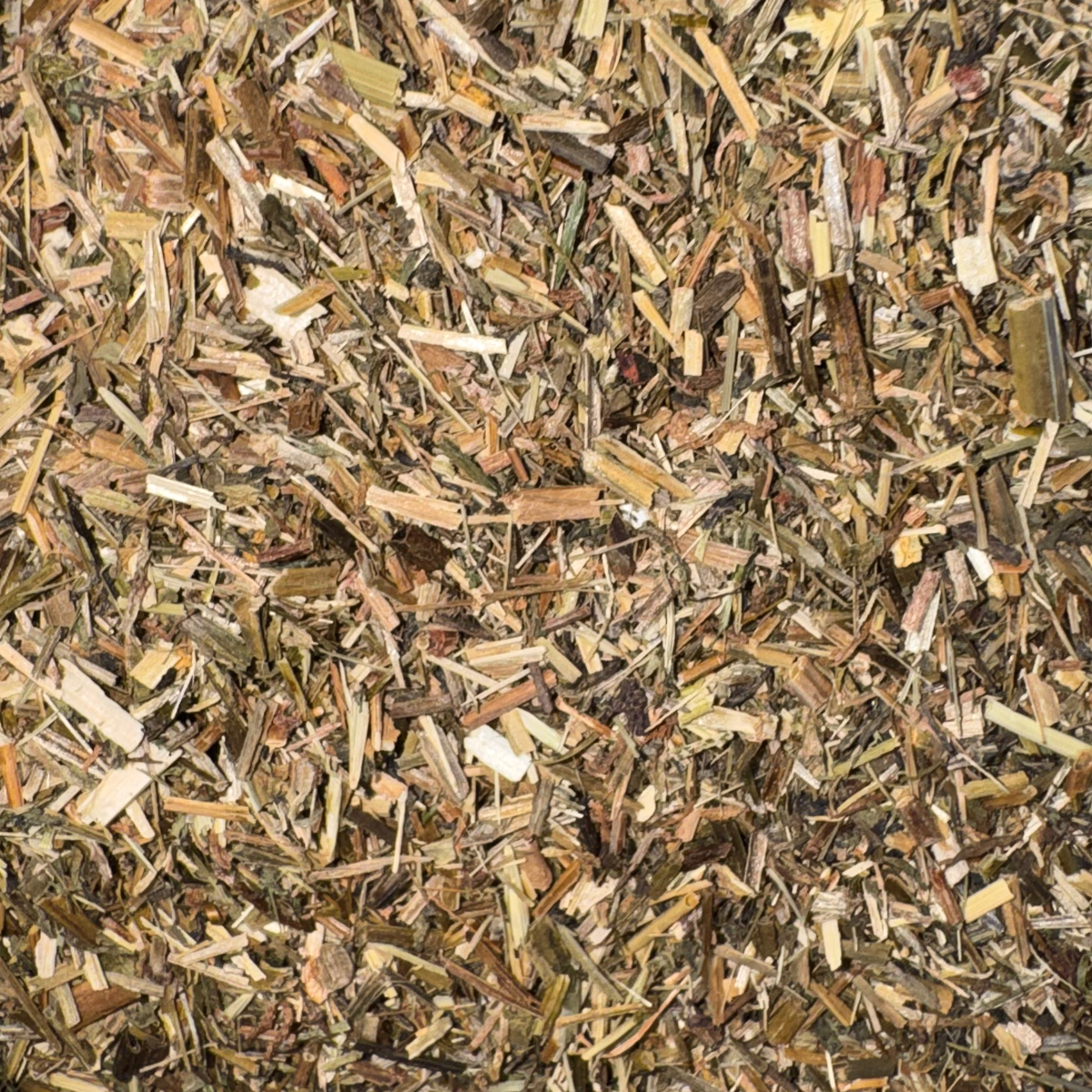 Cleavers Herb Cut